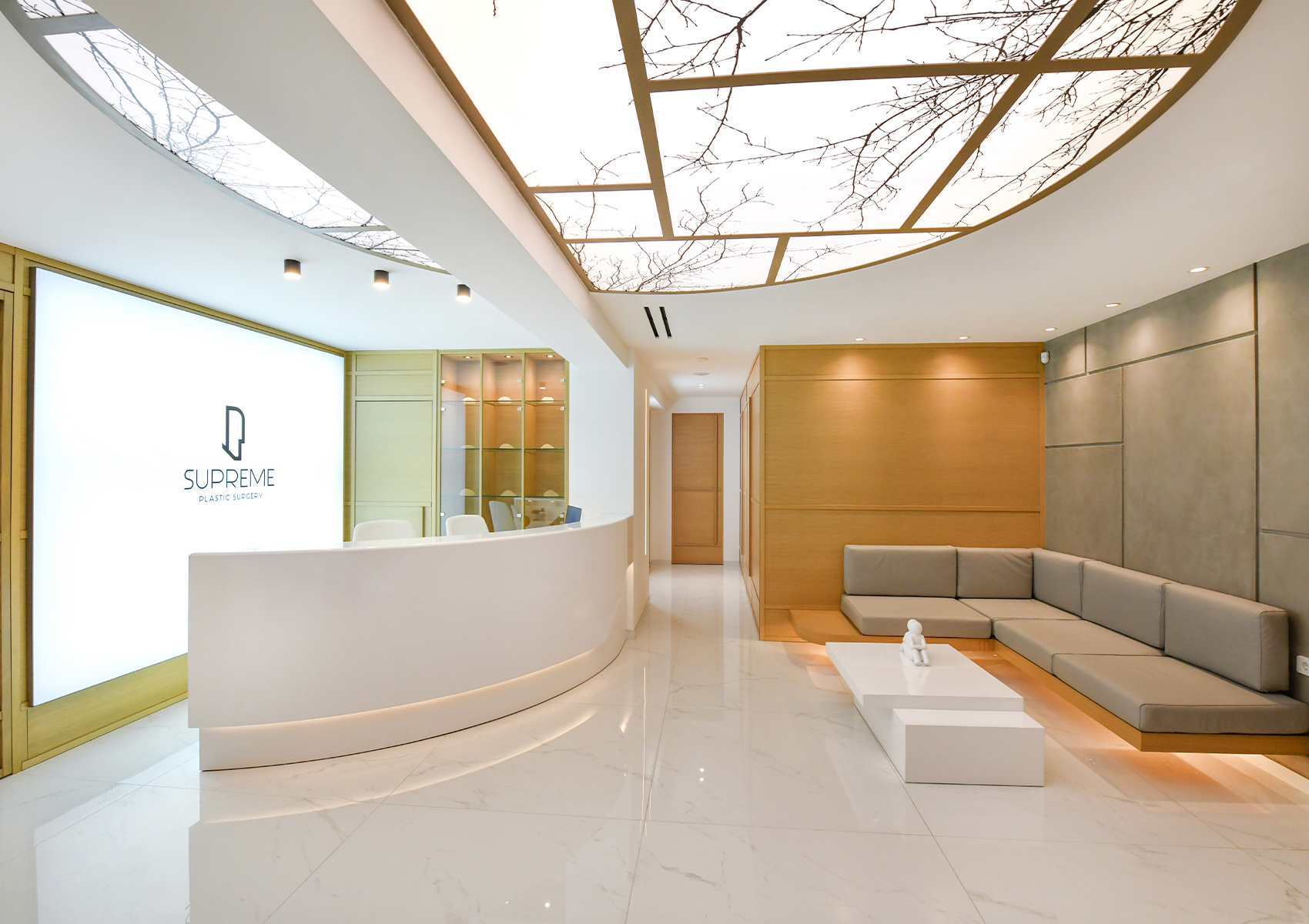 Supreme Plastic Surgery clinic1 1700x1200 by xhristakis