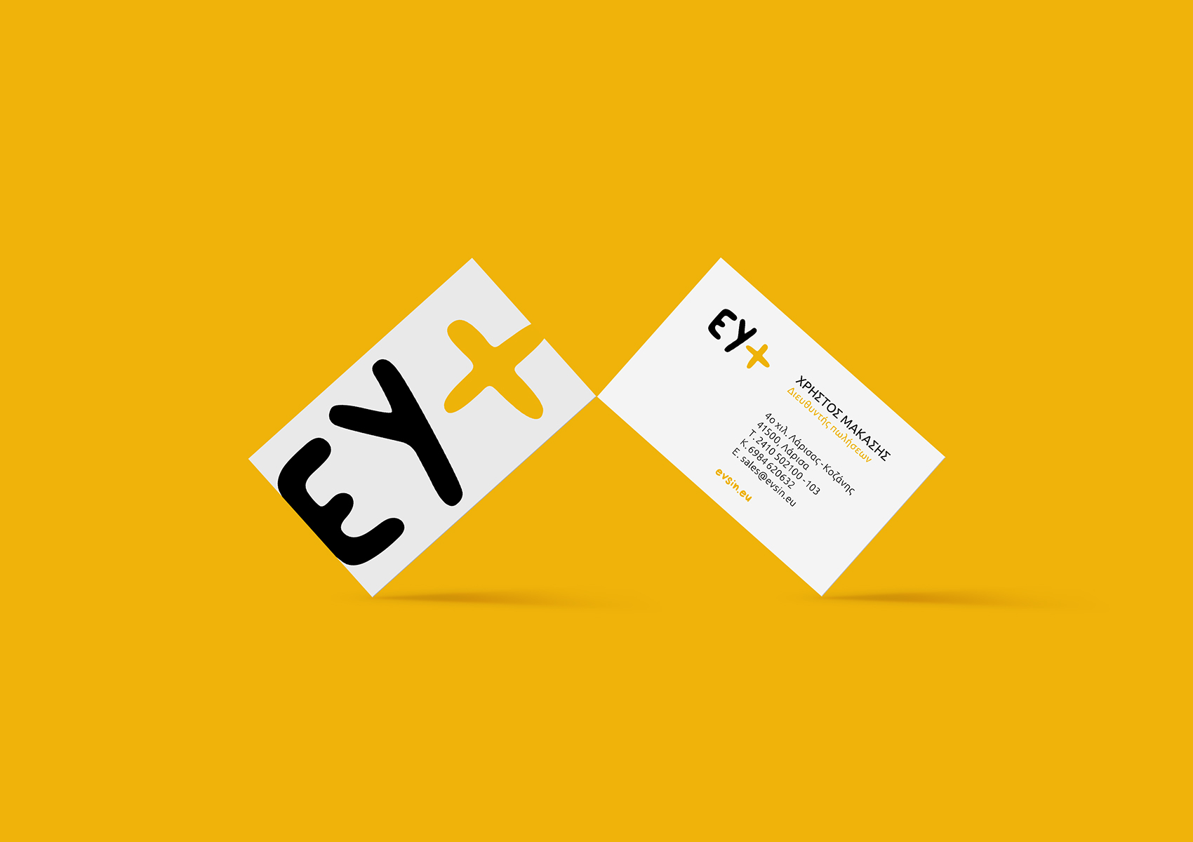 evsin business cards 1700x1200 by xhristakis